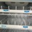 #4670-•-commercial-glass-door-freezer-image-17