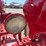 farmall-super-h-image-34