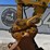 2018-caterpillar-326fl-image-26