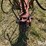 case-ih-4800-image-20