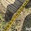 2014-john-deere-mx10-image-19