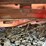 bush-hog-sq160-image-11