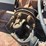 bush-hog-3210-image-13