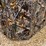 #1280-•-6'-x-6'-deer-blind-image-26