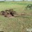 john-deere-2-image-3