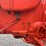 allis-chalmers-d19-gas-image-43