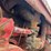 farmall-super-h-image-27