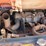 2023-kubota-svl75-2-image-42