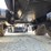 timberjack-1410d-image-56