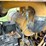 dresser-td8h-image-60