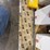 caterpillar-d4-image-12