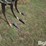 john-deere-e0900-image-16