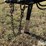 2004-hesston-1275-image-15