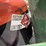 oxy/acetalyne-torch-cart-image-6