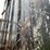 #1281-•-6'-x-6'-deer-blind-on-tower-with-steps-image-9