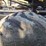 timberjack-1410d-image-82