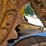 caterpillar-d7h-lgp-image-50