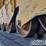 2019-caterpillar-299d2-image-16