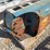 (2)-original-sturtevant-model-train-cars-image-5