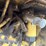 2005-caterpillar-d6n-lgp-image-28