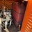 jlg-33rts-image-27