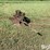 john-deere-2-image-2