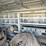 #2753-•-2000-dodge-ram-(title-in-delay)-image-67