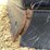 #3046-•-landpride-72"-3-point-back-blade-image-13