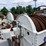 1999-link-belt-rtc-8040-image-109