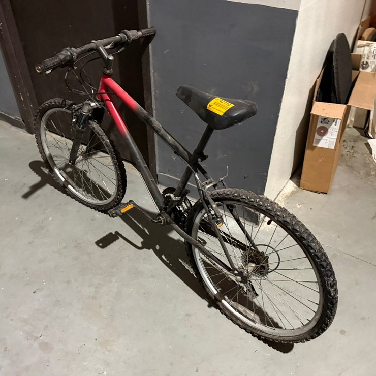 #42119 • Mountain Bike