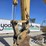 2006-caterpillar-315c-image-11