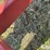 case-ih-4800-image-14