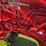 1953-farmall-super-a-image-14