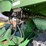 2007-john-deere-7460-image-12