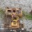caterpillar-d4-image-15