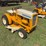 international-cub-image-3