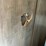 #2825-•-2019-keys-coleman,-(has-new-mexico-title)-image-32