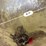 #1741-•-3--point-fertilizer-/-seed-spreader-attachment-image-8