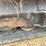 2015-bobcat-t550-image-63