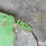 john-deere-2-image-13
