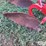 dearborn-10-161-image-15