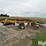 2007-landoll-2327-image-8