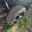 2005-ford-f350-xl-image-16
