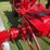 1936-farmall-f-12-image-18