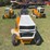 international-cub-image-2
