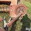 new-holland-68-image-12