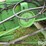 1982-john-deere-6620-image-13