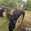 1949-john-deere-a-image-5