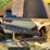 eversman-2sd-image-19