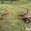 ford-f250-image-4